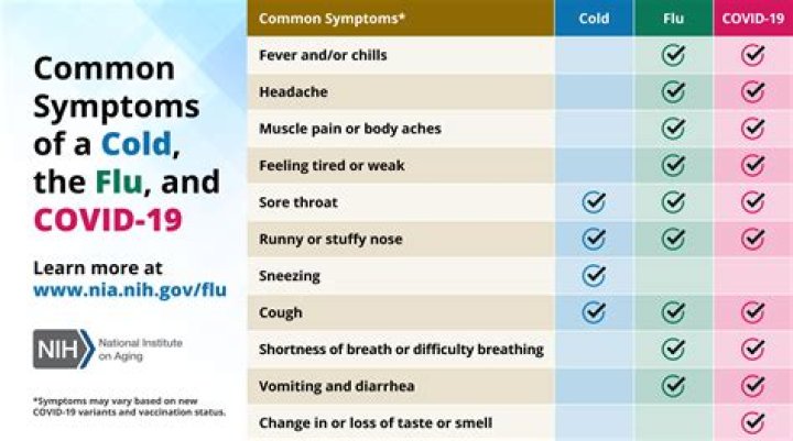 When can COVID-19 symptoms begin to appear?