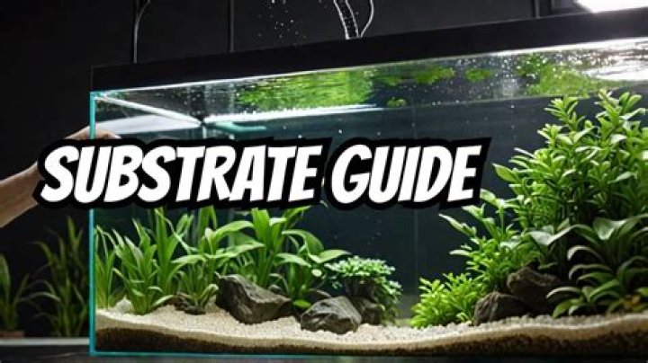 When should I add bacteria to my aquarium?