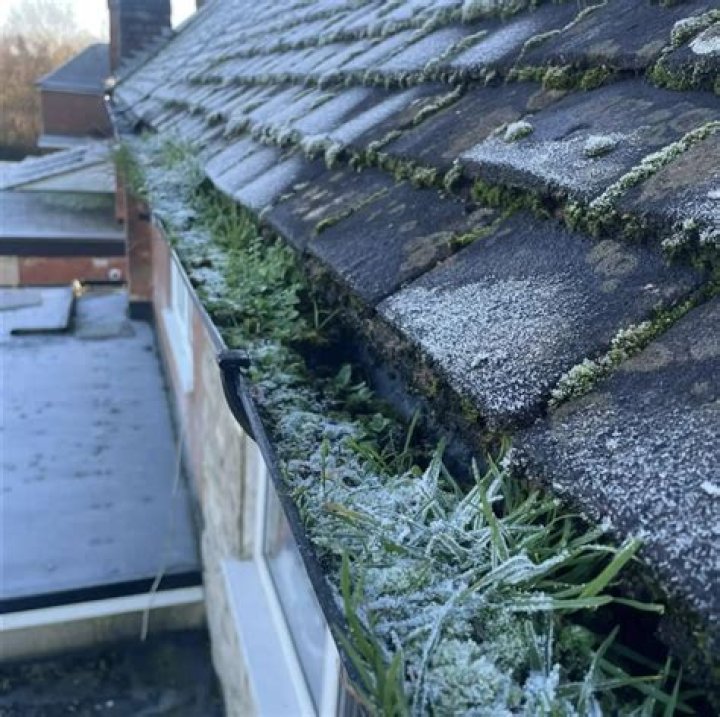 When should I remove snow from my roof?