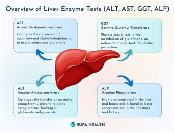 When should I worry about AST and ALT?