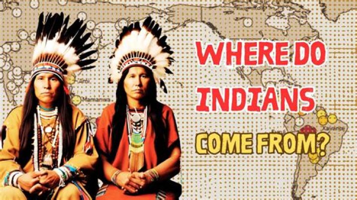 Where in Africa did Indians come from?
