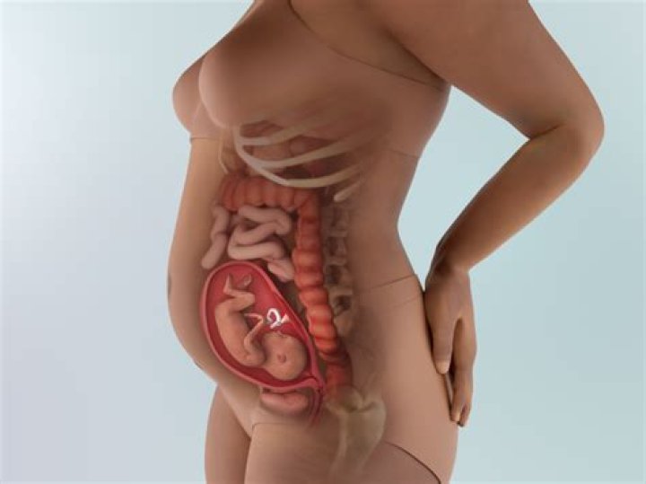 Where is my baby at 13 weeks in my stomach?