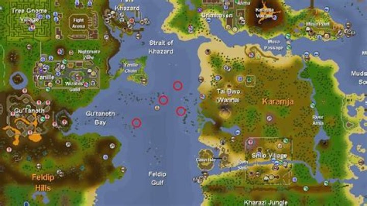Where is the headless monkey shipwreck?