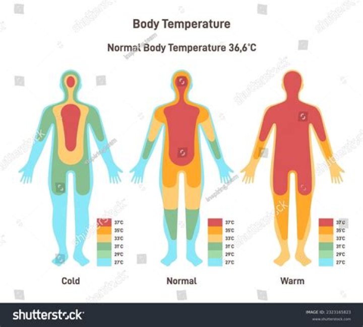 Where is the most accurate place to take the body temperature of the deceased?