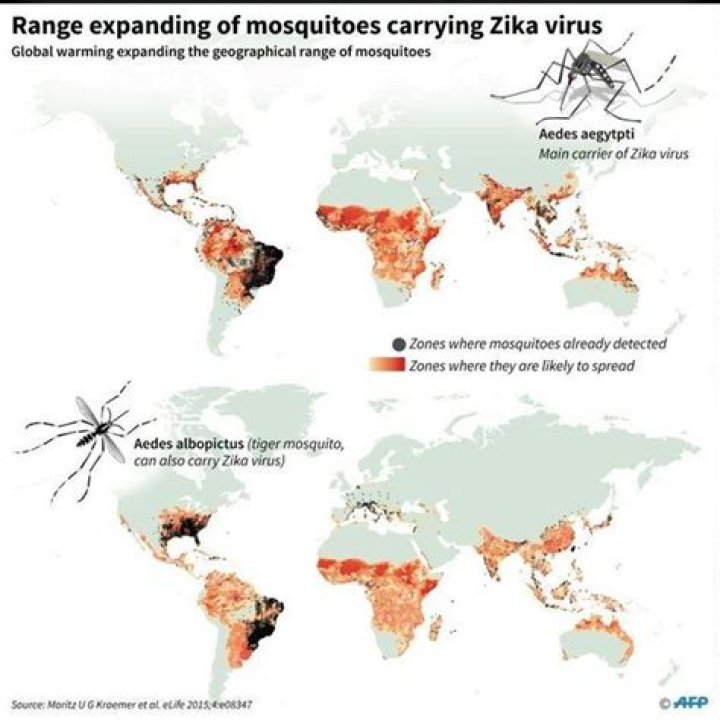 Where is Zika most prevalent?