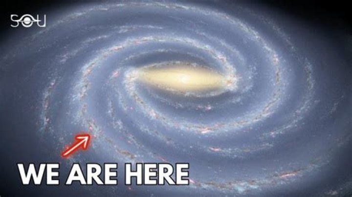 Where on earth are there no snakes?
