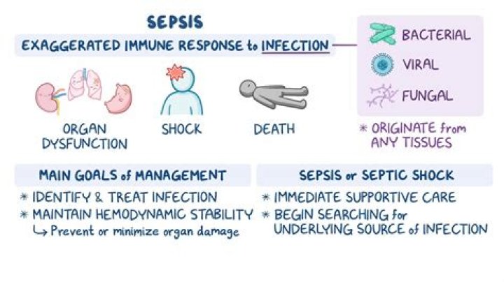 Which body systems are switched on by infection and cause organ dysfunction in sepsis?