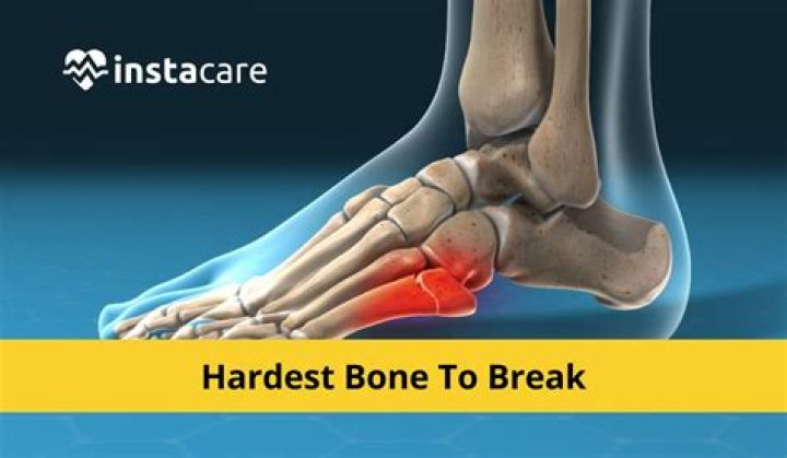 Which bone is hardest to break?