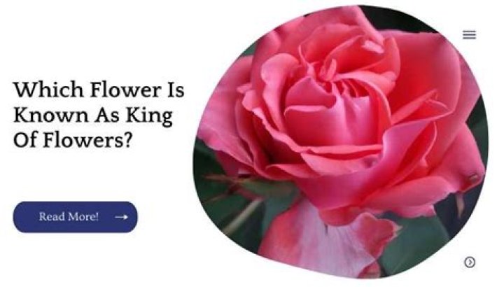 Which flower is known as king of flowers?