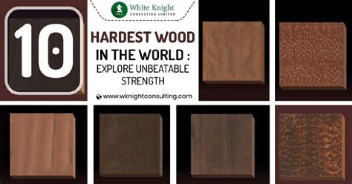 Which is the best wood in the world?