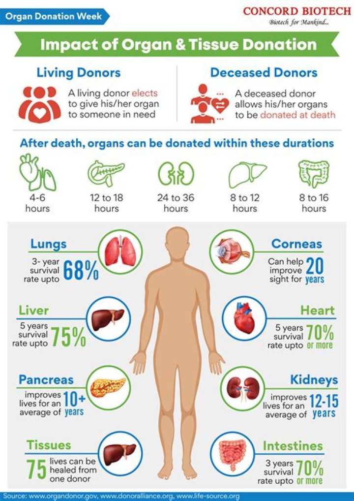 Which organ is the most difficult to transplant?