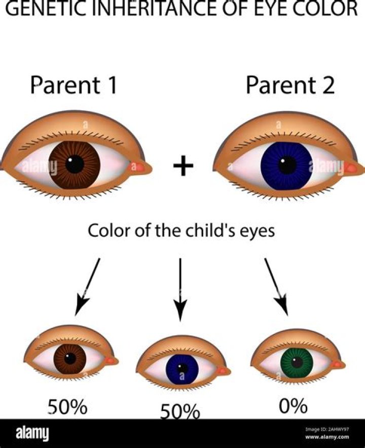 Which parent carries the eye color gene?