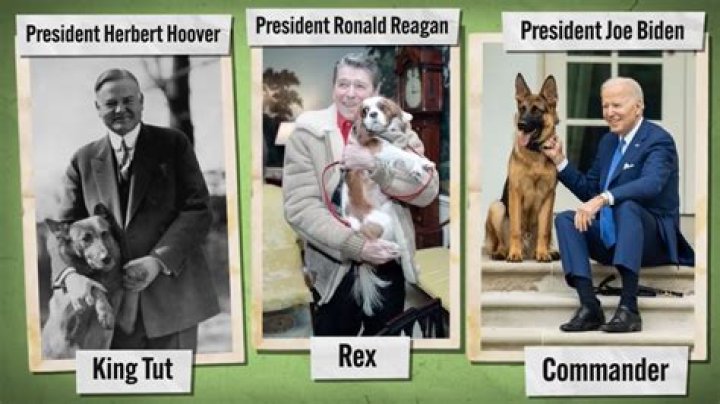 Which president had a tiger?