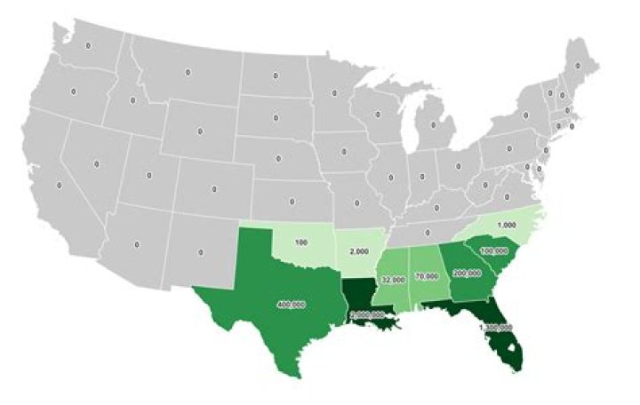 Which state has the most arson?