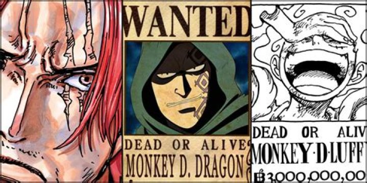 Who has highest bounty in One Piece?