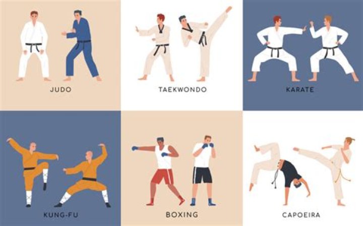 Who introduced karate in India?