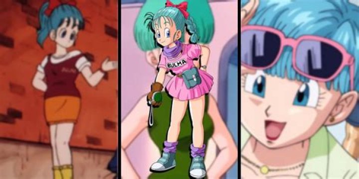 Who is Bulma's crush?
