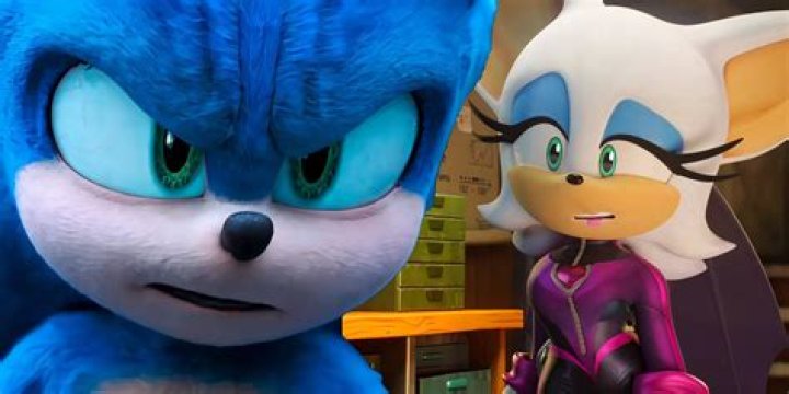 Who is Rouge boyfriend in Sonic?