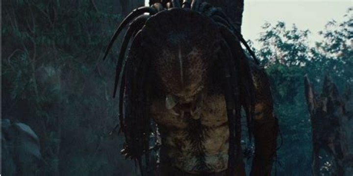 Who is the strongest Predator?