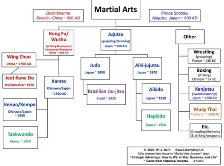 Who is the toughest martial arts actor?