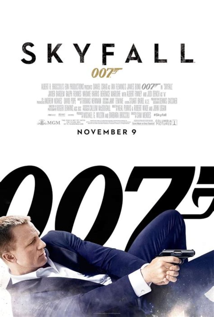 Who owns MV Skyfall?