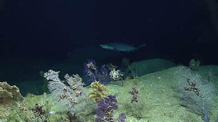 Who owns the Mariana Trench?