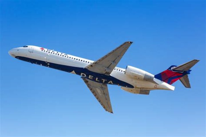 Who survived Delta flight 191?