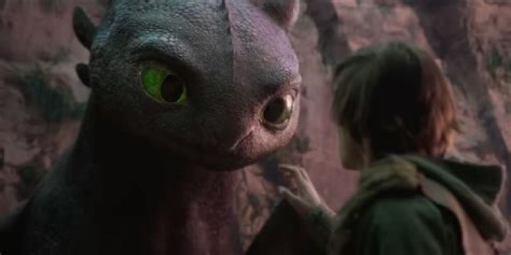 Who trains Toothless?