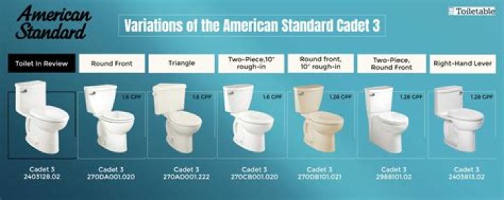 Why are American toilets so small?