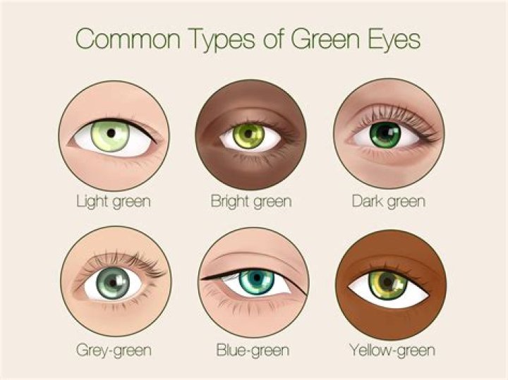 Why are green eyes so attractive?