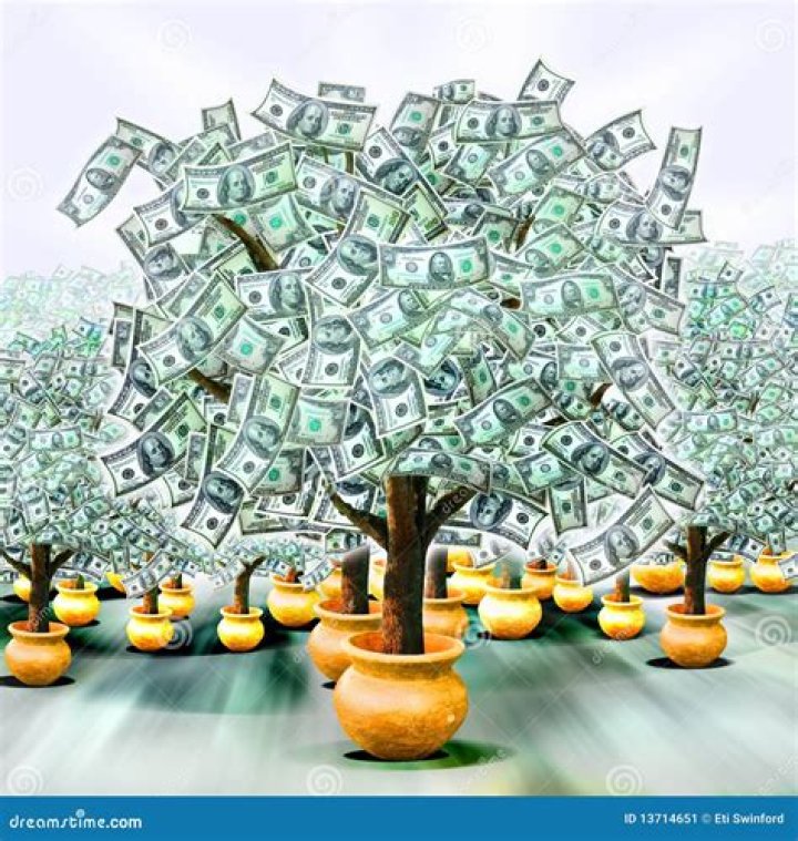 Why are money trees called money trees?