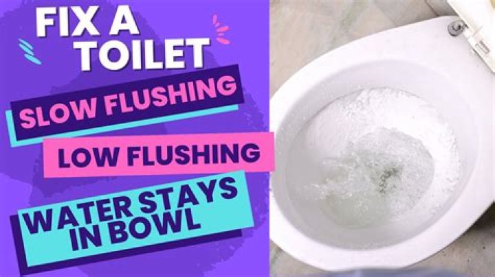 Why can't I flush my toilet when it rains?