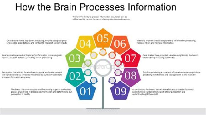 Why can't my brain process information?