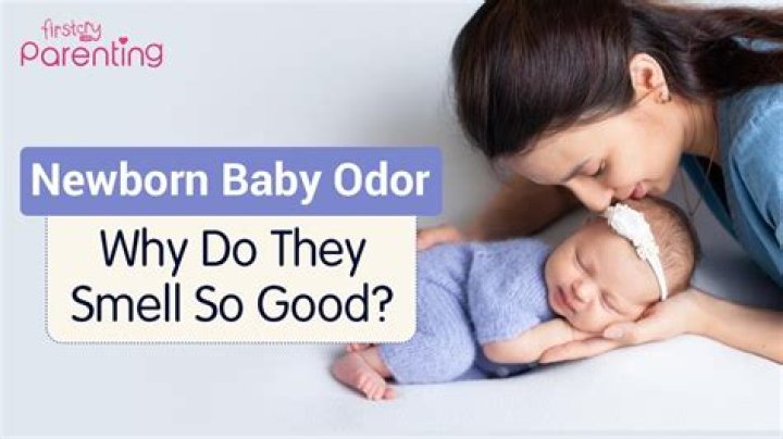 Why do babies smell nice?