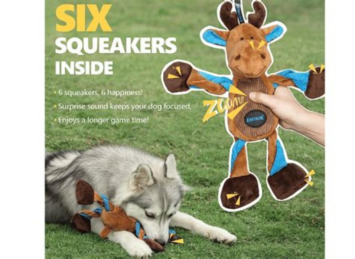 Why do dogs go after squeakers?