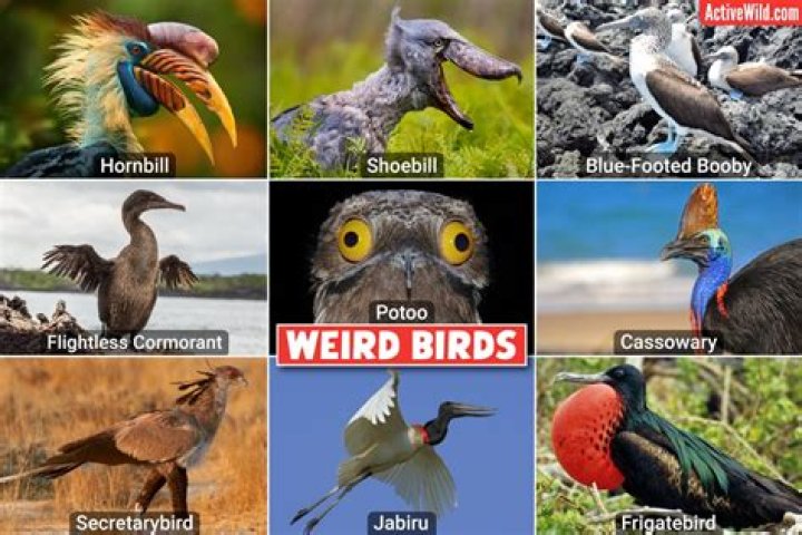 Why do drugs have weird names?