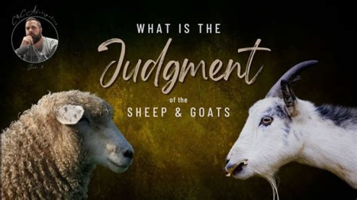 Why do goats not like to get wet?