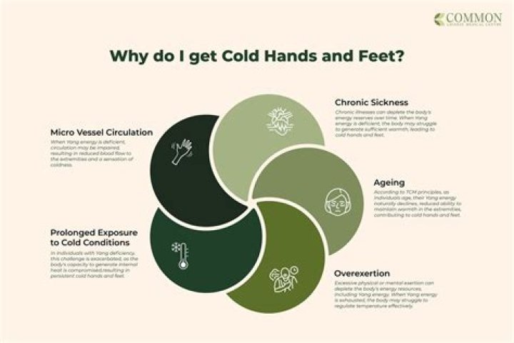 Why do I have cold hands and feet?