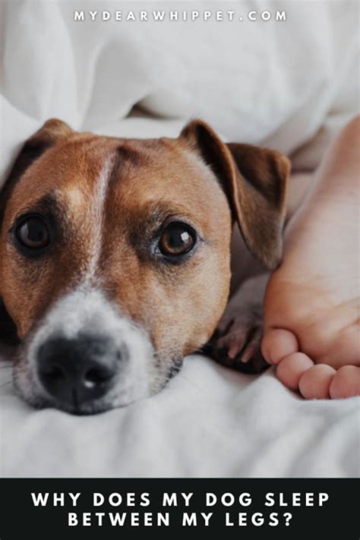 Why do I like to sleep with something between my legs?