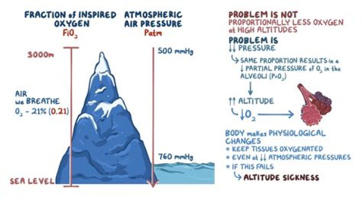 Why do I lose weight at a high altitude?