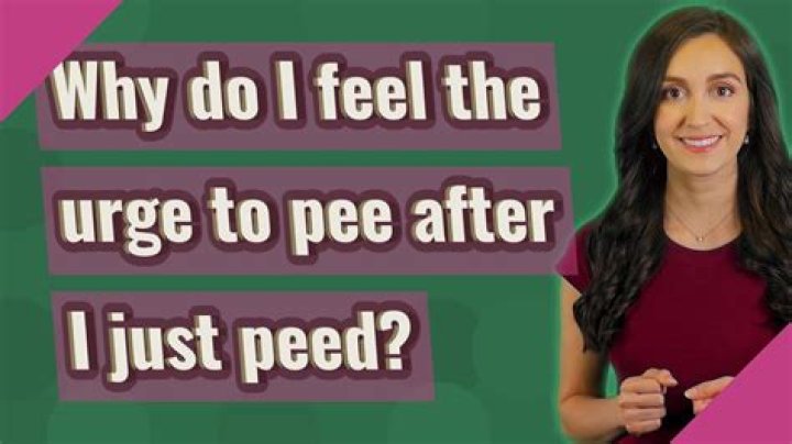 Why do I still feel like I have to pee after peeing?