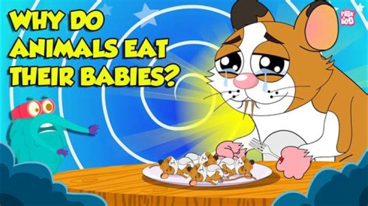 Why do mice eat other mice?