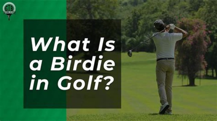 Why do they say bird in golf?