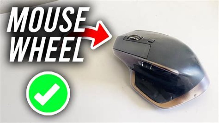 Why does a mouse spin?
