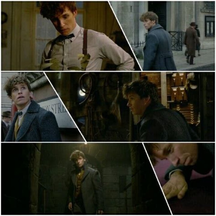 Why does Grindelwald say to Newt?