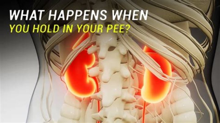 Why does it feel good to hold in pee?