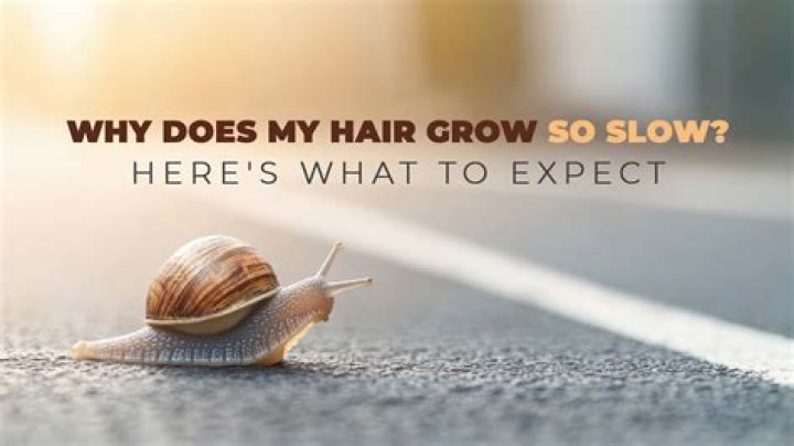 Why does my hair grow so slow?
