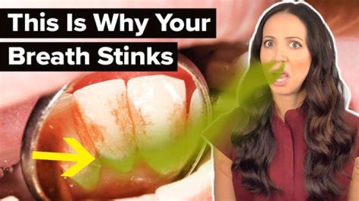 Why does pee stink when it sits?