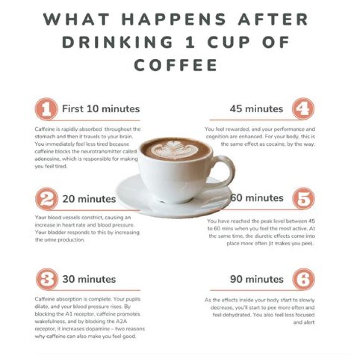 Why does Phil drink coffee?