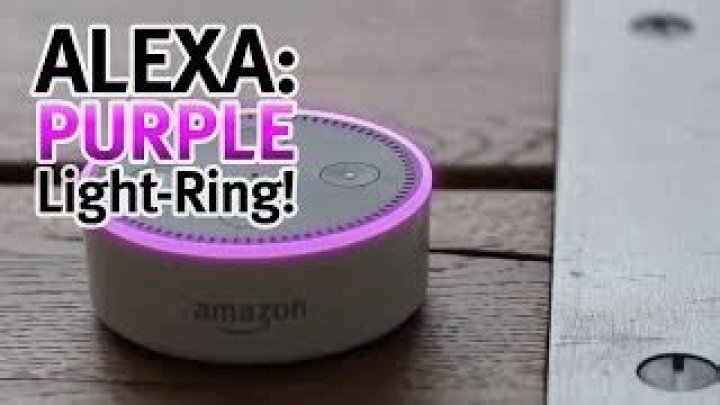 Why is Alexa purple?